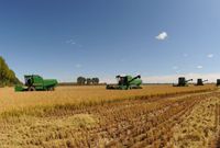 农垦改革大幕拉开：多部委密集调研 将出台重大意见